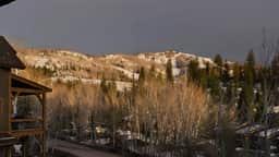 Black Bear Chalet