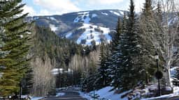 Chalet Fairway - Image 3