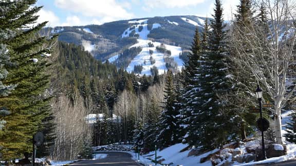 Chalet Fairway - Image 3